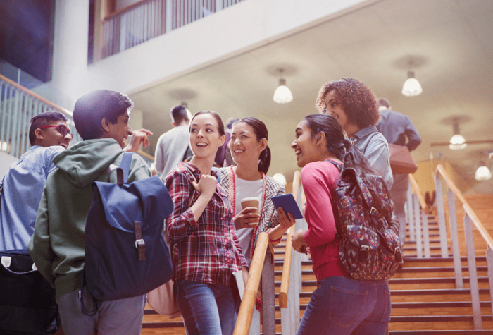 Study Abroad Consultant for BBA In Rajsthan