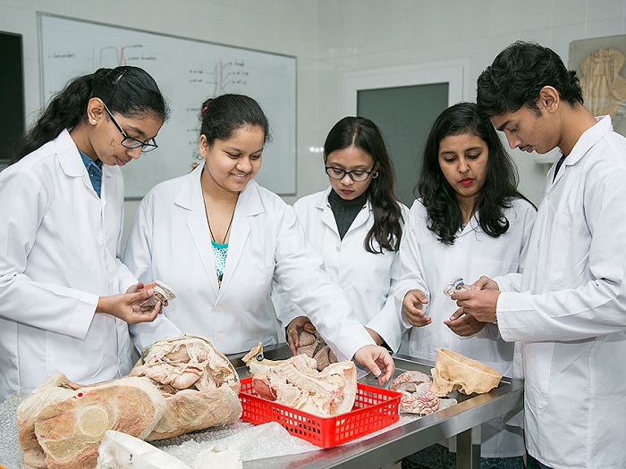 Study Abroad Consultant for MBBS In Delhi